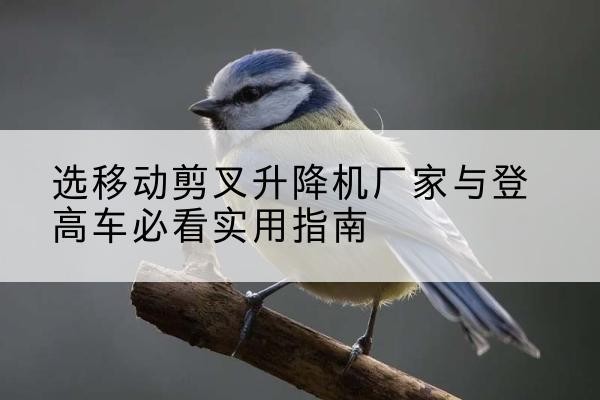 晴隆电动升降机厂家-选移动剪叉升降机厂家与登高车必看实用指南