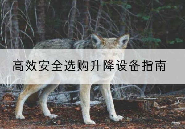 晴隆升降货梯厂家推荐-*安全选购升降设备指南