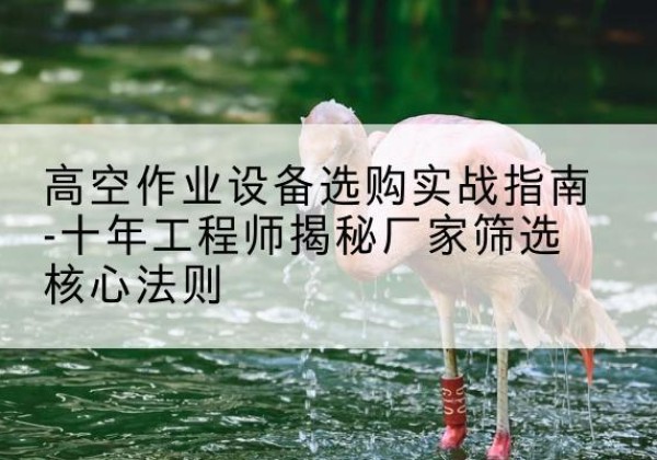 晴隆剪叉式升降机厂家-高空作业设备选购实战指南-十年工程师揭秘厂家筛选核心法则